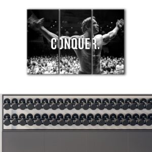 3 panneaux arnold schwarzenegger conquer canvas art