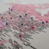 épingle à pousser nuance de rose carte du monde - usa zoom