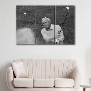 3 panneaux arnold palmer shot canvas art