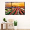 Toile d'art 3 panneaux champ de tulipes